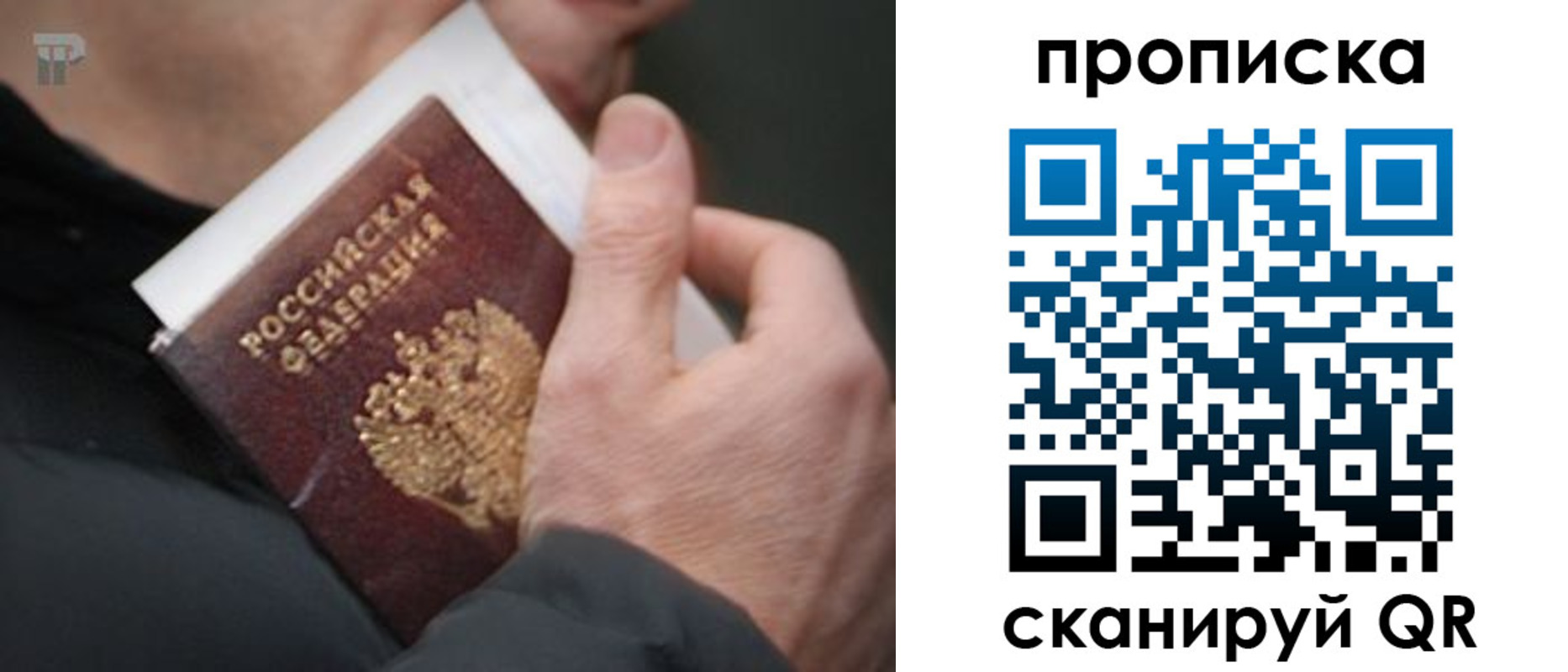 временная регистрация гарантия в Котовске